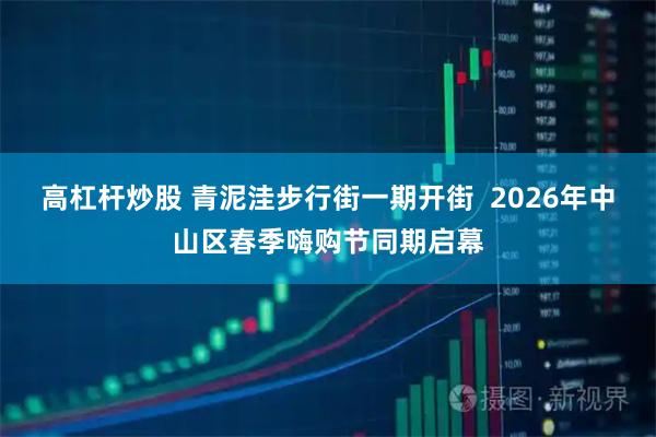 高杠杆炒股 青泥洼步行街一期开街  2026年中山区春季嗨购节同期启幕