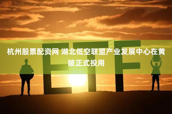杭州股票配资网 湖北低空联盟产业发展中心在黄陂正式投用